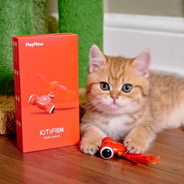 Kitifish Interactive Cat Toy, Automatic Fish Toy with Motion Activation, USB Rechargeable, Fun Exercise Toy for Indoor Cats and Kittens, Ideal Gift