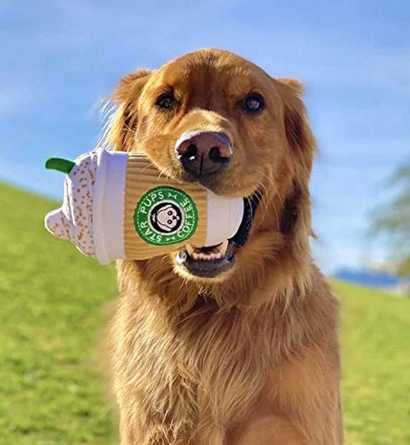 Parody Star Pups Coffee Dog Toy Pup'Kin Spice Latte - Funny Plush Squeaky Crinkle Dog Toys for Medium, Small and Large for Dog Birthday